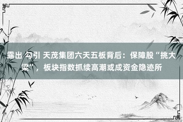 露出 勾引 天茂集团六天五板背后：保障股“挑大梁”，板块指数