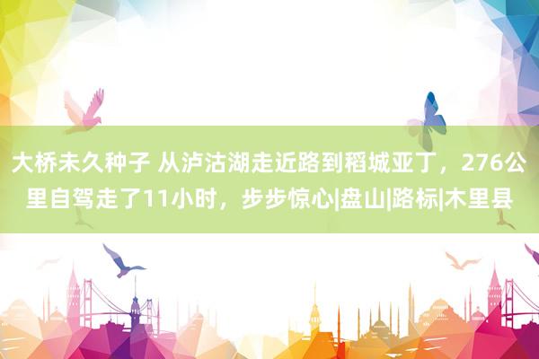 大桥未久种子 从泸沽湖走近路到稻城亚丁，276公里自驾走了11小时，步步惊心|盘山|路标|木里县