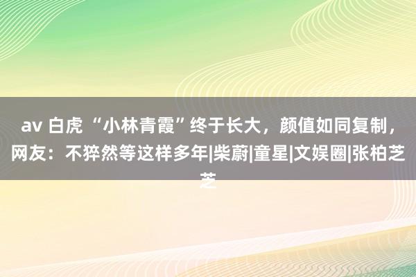 av 白虎 “小林青霞”终于长大，颜值如同复制，网友：不猝然等这样多年|柴蔚|童星|文娱圈|张柏芝