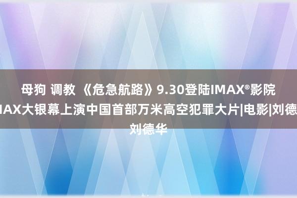 母狗 调教 《危急航路》9.30登陆IMAX®影院IMAX大银幕上演中国首部万米高空犯罪大片|电影|刘德华