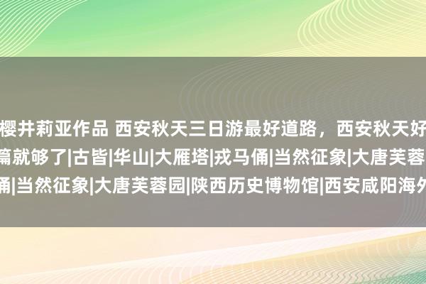 樱井莉亚作品 西安秋天三日游最好道路，西安秋天好玩的景点推选，看这篇就够了|古皆|华山|大雁塔|戎马俑|当然征象|大唐芙蓉园|陕西历史博物馆|西安咸阳海外机场