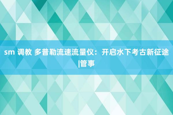 sm 调教 多普勒流速流量仪：开启水下考古新征途|管事