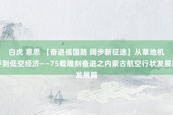 白虎 意思 【奋进强国路 阔步新征途】从草地机坪到低空经济——75载雕刻奋进之内蒙古航空行状发展篇